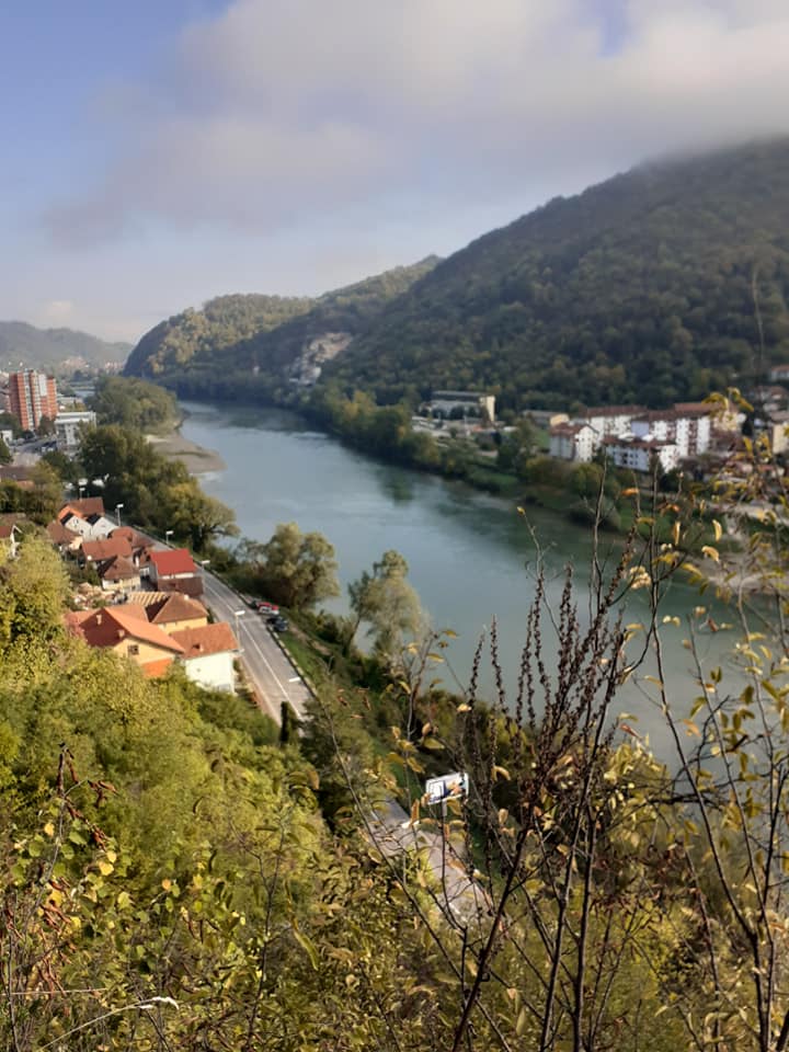 Pogled