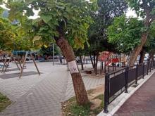 Parkic