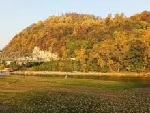 Drina