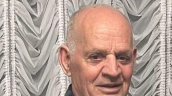 nestali gavric